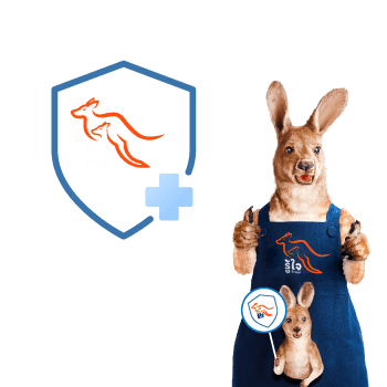 ขั้นตอนการต่อประกันรถยนต์และบิ๊กไบค์ออนไลน์