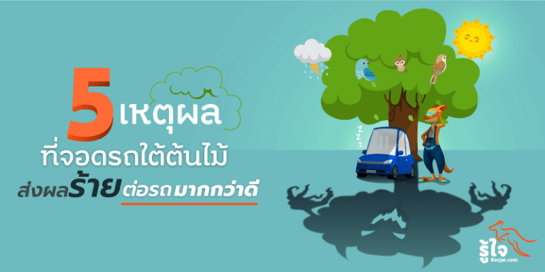 พื้นที่จอดรถใต้ต้นไม้ ส่งผลร้ายมากกว่าดี (1) | Roojai.com