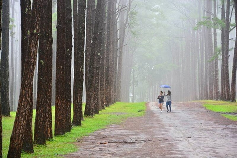 สถานที่ท่องเที่ยวเชียงใหม่ (1) | รู้ใจ