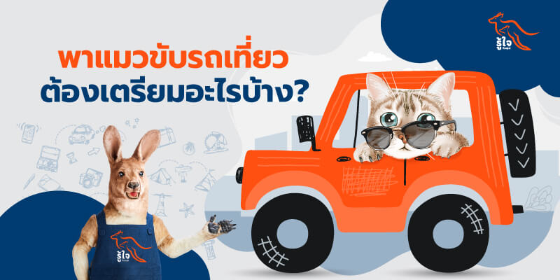 นักขับทาสแมวต้องรู้! พาแมวไปเที่ยว/พาแมวเดินทางไกล | รู้ใจ