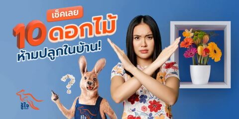 ดอกไม้มีพิษห้ามปลูกในบ้าน | รู้ใจ