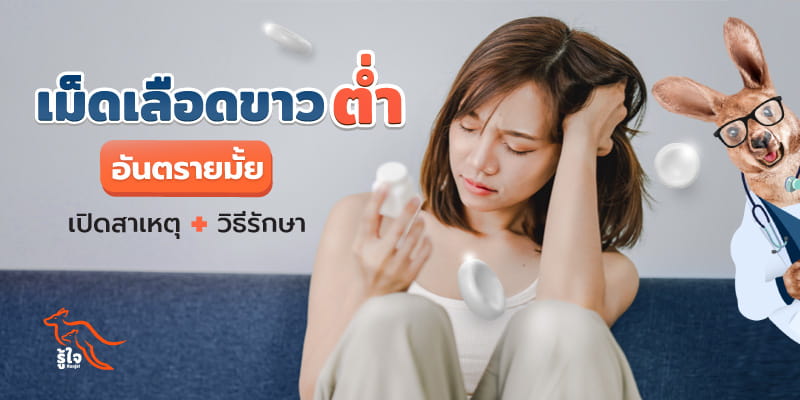 เม็ดเลือดขาวต่ำมีผลต่อร่างกายยังไง | รู้ใจประกันภัย