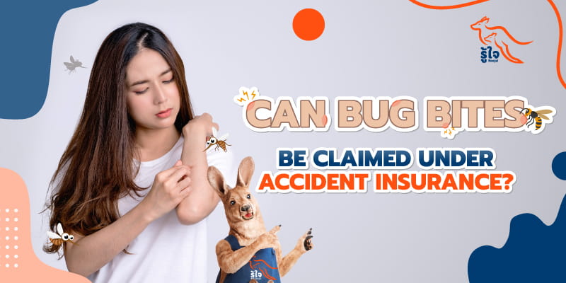 Can bug bites be claimed under personal accident insurance? | Roojai