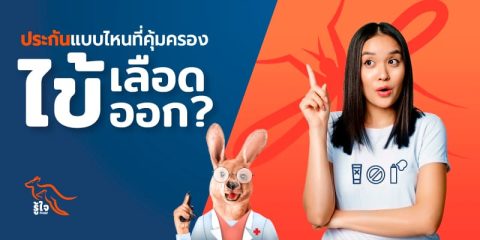 เจาะลึกโรคไข้เลือดออก และสิทธิ์การรักษาที่ควรรู้ | รู้ใจประกันภัย