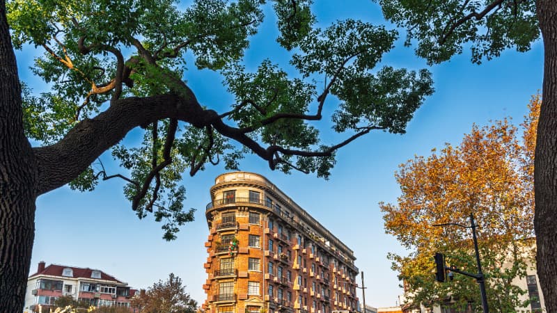 French Concession ย่านเก่าแก่ที่มีถนนร่มรื่น คาเฟ่ และอาคารสไตล์ยุโรปสุดคลาสสิกในเมืองเซี่ยงไฮ้