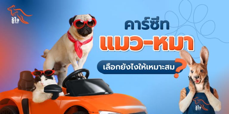 วิธีเลือกคาร์ซีทให้เหมาะกับสัตว์เลี้ยง ทั้งน้องหมาน้องแมว | รู้ใจ