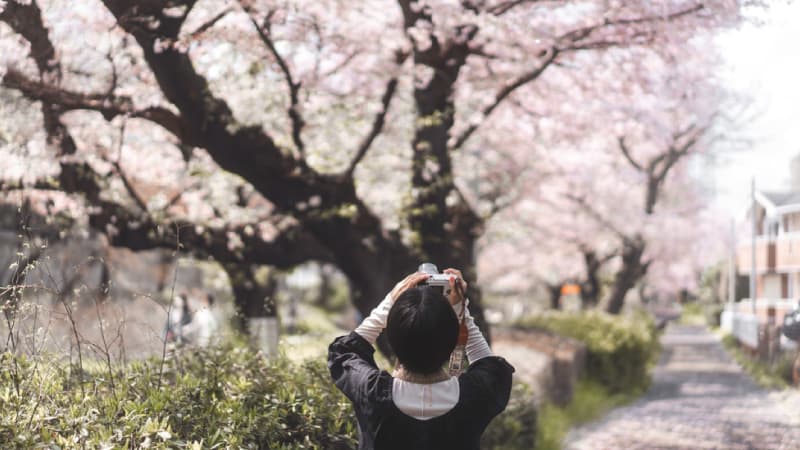 วิธีวางแผนเงินสำรองเที่ยวญี่ปุ่นสำหรับมือใหม่ | ประกันเดินทางรู้ใจ