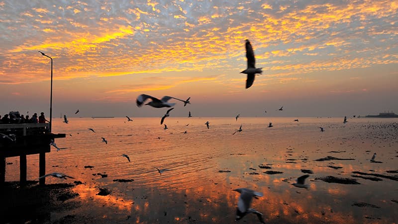 āļŠāļāļēāļāļāļēāļāļāļēāļāļēāļĻāļāļēāļāļāļđ āļāļąāļāļŦāļ§āļąāļāļŠāļĄāļļāļāļĢāļāļĢāļēāļāļēāļĢ āļāļĩāđāđāļāļĩāđāļĒāļ§āđāļāļ°āļāļģāļŠāļģāļŦāļĢāļąāļāļāļđāđāļŠāļđāļāļāļēāļĒāļļāđāļĨāļ°āļāļĢāļāļāļāļĢāļąāļ§ | āļĢāļđāđāđāļāļāļĢāļ°āļāļąāļāđāļāļīāļāļāļēāļ