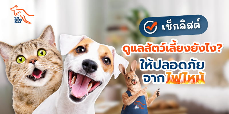 เลี้ยงหมาแมวในบ้านควรรู้ ความเสี่ยงของไฟไหม้เมื่อมีสัตว์เลี้ยงในบ้าน | รู้ใจประกันภัย