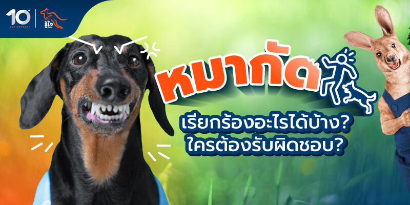 เจาะลึก ถูกหมากัด ใครต้องรับผิดชอบ | รู้ใจประกันภัย
