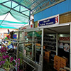 Car garage repair shop Kong Keart Garage (Samut Prakan) | Roojai